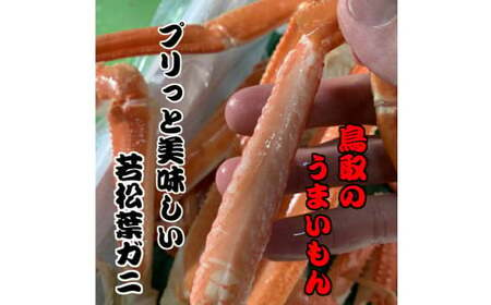 訳あり ボイル若松葉ガニ カニ4尾分8肩（足１～２本なし含む）かに カニ 蟹 ボイル 新鮮 かに カニ 蟹 松葉ガニ 松葉がに かに カニ 蟹 ボイル【魚倉】