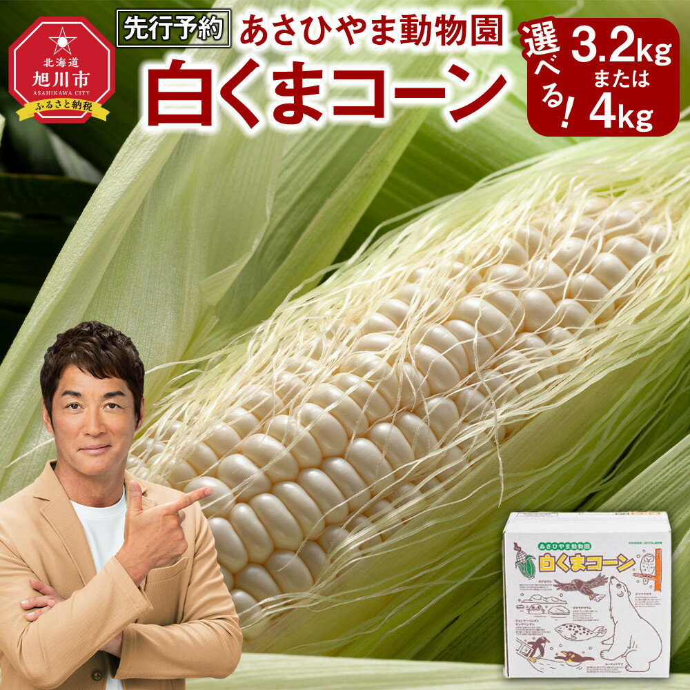 【ふるさと納税】【26年発送先行予約/容量選択可能】あさひやま動物園しろくまコーン8～10本（約3.2kg～4kg）2026年8月下旬から発送開始予定 _00308 | 白いとうもろこし 白いスイートコーン ホワイトレディ コーン ピュアホワイト 旭川市