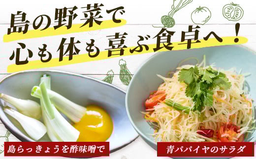 石垣島産 野菜 BOX　1箱 ≪定番・旬の野菜６~８種類≫ 野菜パワーをあなたに！！｜野菜セット おまかせセット 旬 季節のお野菜 旬の野菜セット 詰め合わせ 島野菜 沖縄県 石垣市 石垣島 CK-1