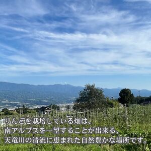 シナノドルチェ 3kg箱 ＜9月下旬より発送＞