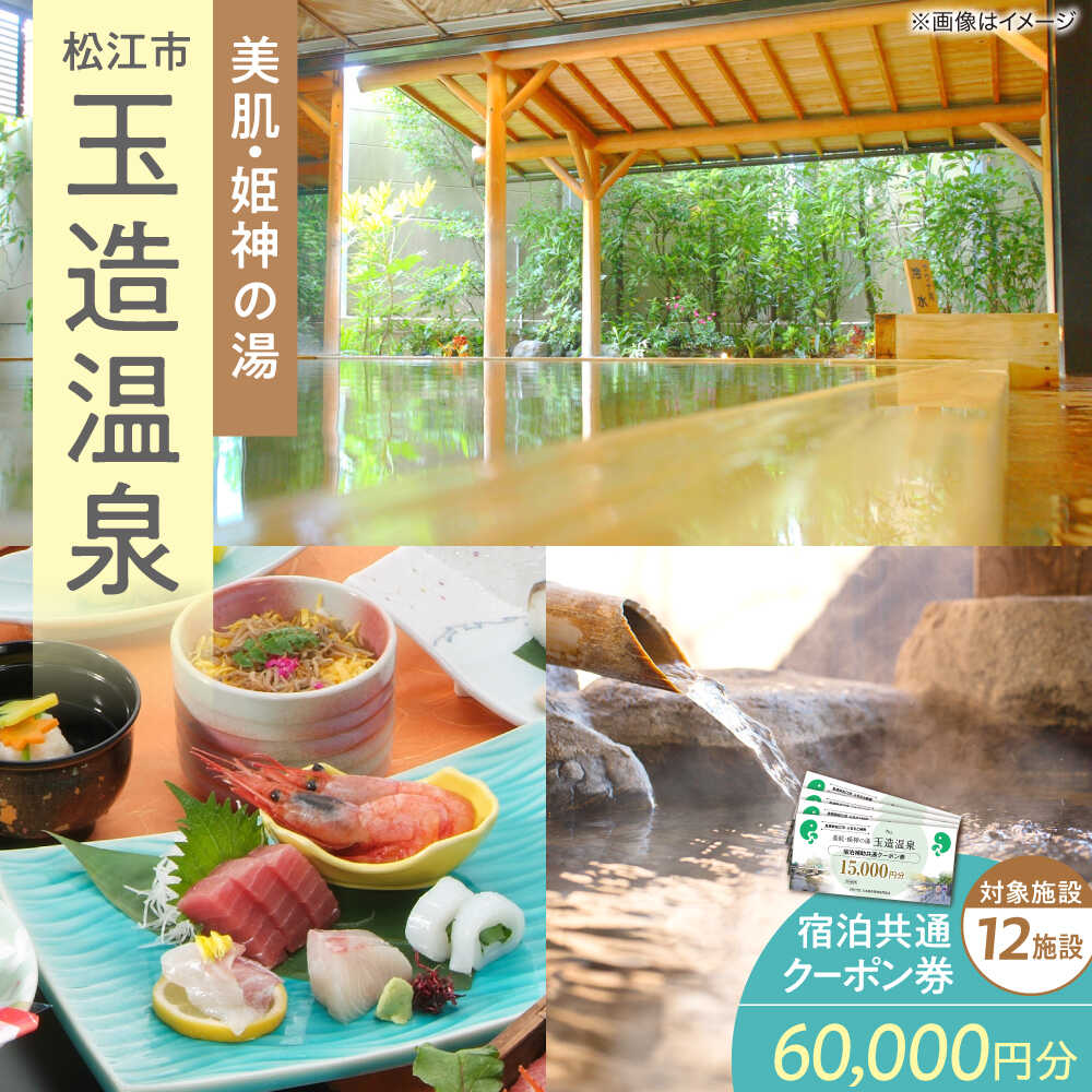 【ふるさと納税】玉造温泉 共通クーポン券 寄附額 20万円 60000円分クーポン 島根県松江市/玉造温泉旅館協同組合[ALHN003]｜クーポン 宿泊クーポン 観光 旅行券 ギフト 高級 温泉 島根 松江 宿泊 ホテル 旅館 チケット 200000円