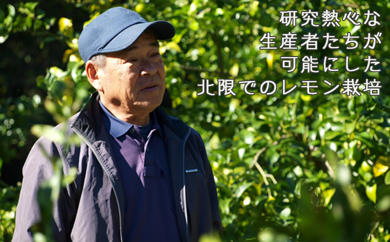 《11月発送》【皮まで食べられる】海と太陽のレモン【秀品】３kg（約25個） [0011-0057] 秀品３kg《11月発送》