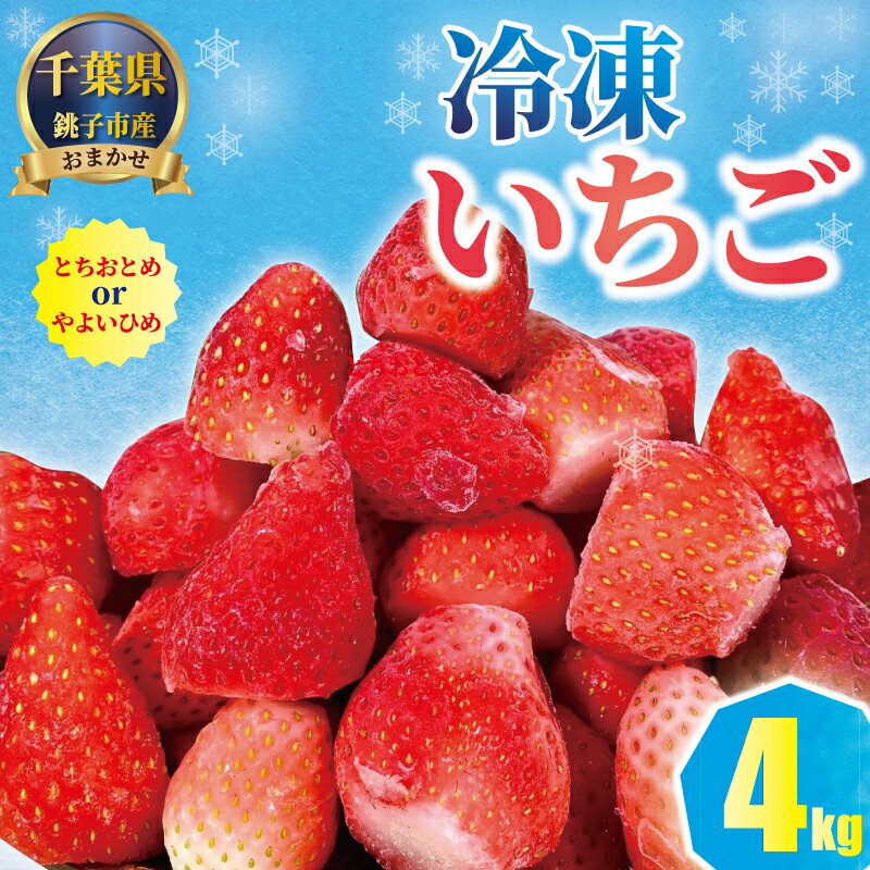 【ふるさと納税】 冷凍いちご 4kg (1kg×4) とちおとめ やよいひめ 銚子 苺 いちご 真空パック 冷凍 フルーツ ジャム いちごジャム ストロベリー スムージー アサイー 果物 トッピング ソース 便利 ふるさと納税 ふるさと納税いちご 送料無料 千葉県 銚子市 神原いちご園