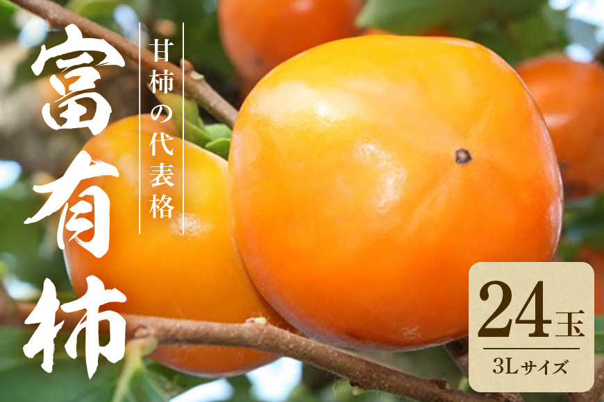 
            【2025年　先行予約】 富有柿 3L 二段 24玉 （ミナミ観光果樹園） 柿 甘い柿 かき 富有カキ 甘い 果物 フルーツ くだもの カキ 富有かき 秋 旬 甘柿 糖度 贈答用 贈答品 ギフト 贈り物 品種 ブランド 産地直送 農家直送 産直 茨城県 石岡市 (A09-006)
          