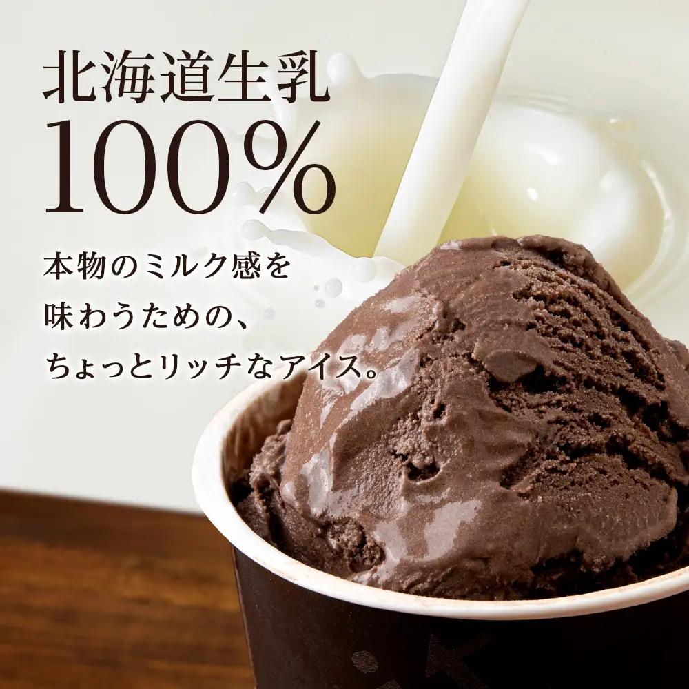 リッチアイスクリーム カカオ香るほどよい甘さのチョコレート 10個セット（100ml）