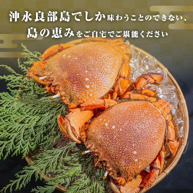 沖永良部島直送！素潜り漁師オススメの冷凍アサヒガニ2キロ（4～8杯） W030-008u 冷凍 海鮮 カニ