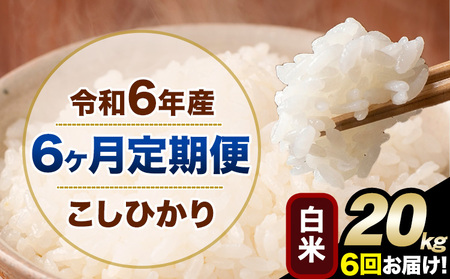 【6ヶ月定期便】令和6年産 定期便 こしひかり 白米 定期便 20kg 精米 熊本県産(南阿蘇村産含む)  南阿蘇村《申込み翌月から発送》｜人気米 熊本県産米  生活応援米