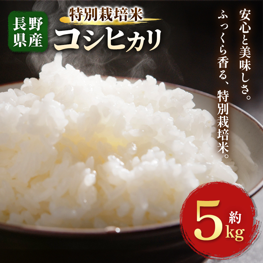 木島平産 特別栽培米 コシヒカリ 約5kg | 米 特別栽培米 低農薬 コシヒカリ 長野 長野県 長野県産 木島平村 木島平村産
