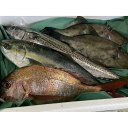 【ふるさと納税】【能登半島地震復興支援】能登の鮮魚丸ごとセット【2～3人前】