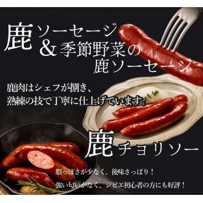 ふるさと納税 山梨市 富士山麓の恵みを味わうプレミアムジビエ6種セット 鹿肉ソーセージ、カンパーニュ、ロースハムなど詰合せ |  | 01