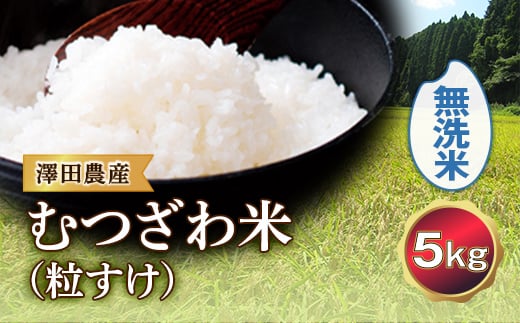 
令和5年産米 むつざわ米（粒すけ）無洗米 5kg 澤田農産 F21G-194
