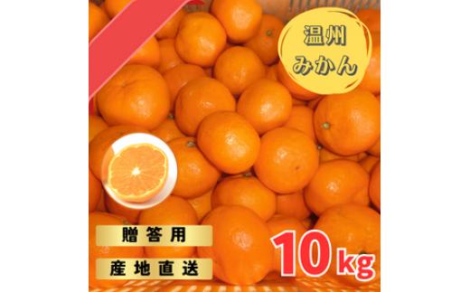 【先行予約】宮川早生みかん 贈答用 秀品 10kg（2S~2L）【2024年11月下旬から12月中旬までに順次発送】 / みかん 蜜柑 柑橘 果物 フルーツ 早生 秀品 贈答