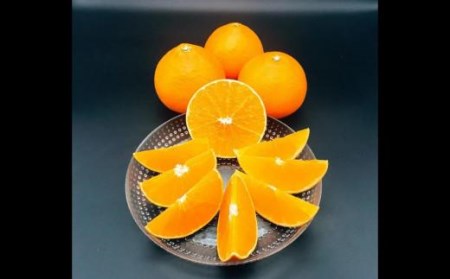 【2026年12月頃から順次発送】愛果28号 (紅まどんな と同品種) 5kg 家庭用  | 愛媛産 愛媛県産 国産 愛媛みかん 愛媛蜜柑 愛媛ミカン みかん ミカン mikan 蜜柑 柑橘 フルーツ