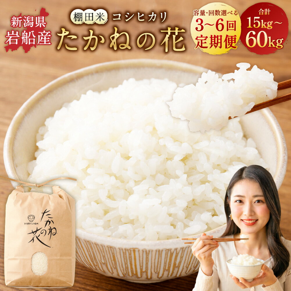【ふるさと納税】【令和7年産米】【選べる容量・回数】 5kg・10kg / 3・6回【定期便】新潟県村上市岩船産　棚田米コシヒカリ「たかねの花」米 お米 白米 ご飯 ごはん コシヒカリ 新潟産 村上産 お取り寄せ 新潟県 村上市 送料無料 1104003 1104004 1104005 1104006