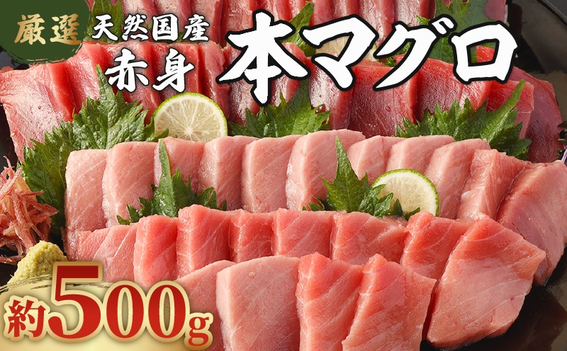 【数量限定】 厳選 天然 本マグロ 赤身 500g 以上 国産 マグロ 鮮魚 刺身 刺し身 漬け丼 海鮮丼 おかず 魚介類 海鮮 海産物 まぐろ 本まぐろ 鮪 ブロック 500グラム 惣菜 冷凍 スピード発送 美阿丸 高知県 室戸市
