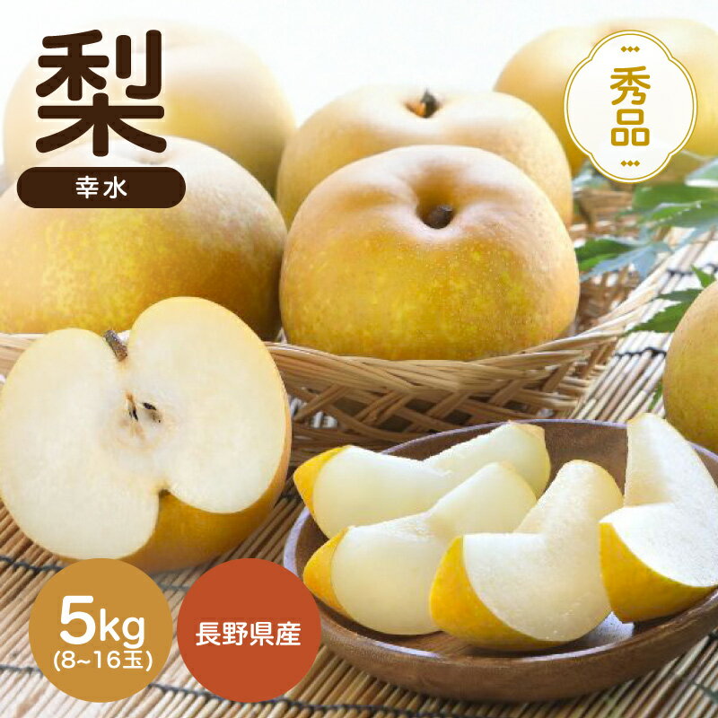 【ふるさと納税】【南信州産】幸水　約5kg　秀品 | 幸水 梨 なし ナシ 果物 くだもの フルーツ 信州 南信州 送料無料 ふるさと納税 長野県 飯田市 K34
