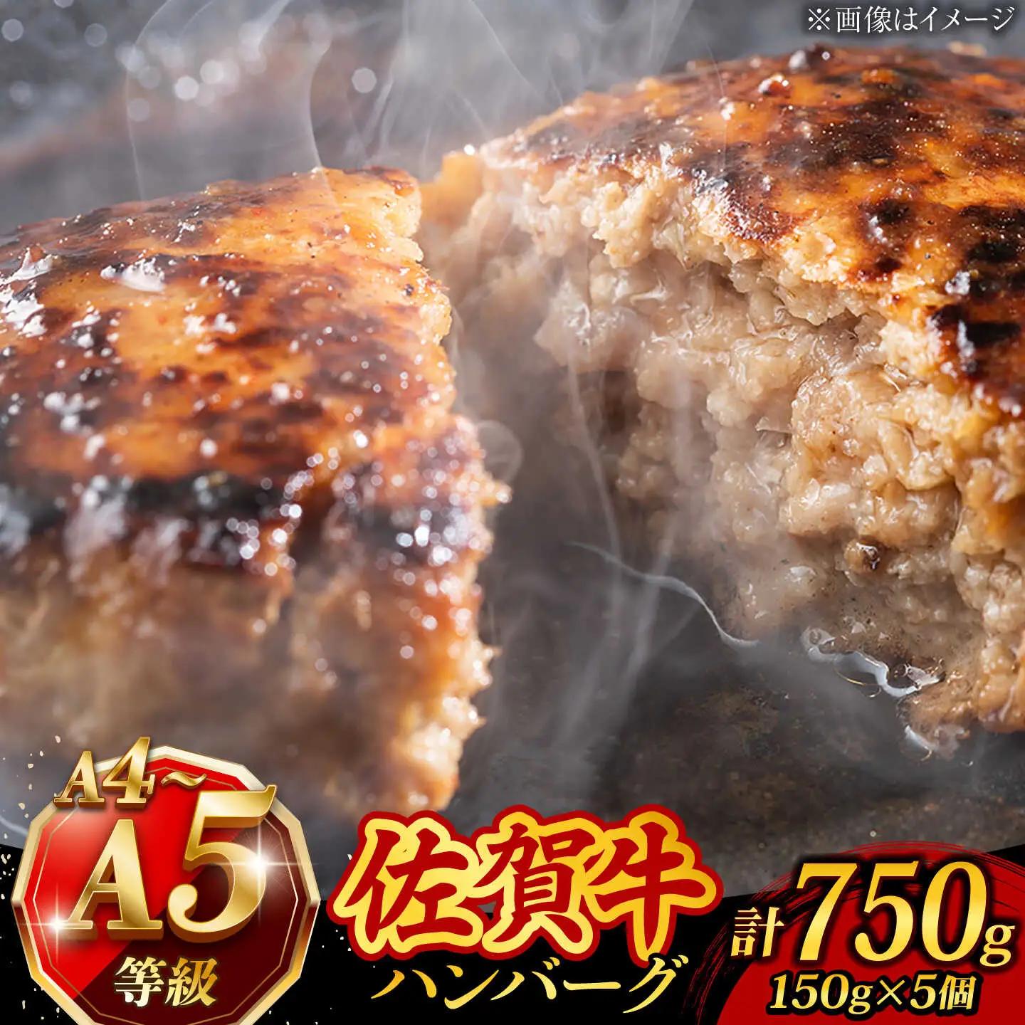 佐賀牛100％ハンバーグ 5個 ハンバーグ [UCC024]