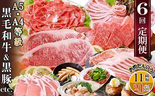 定期便(6回)A5・A4等級黒毛和牛・黒豚etc FF-0061 _ 定期便 牛肉 肉 お肉 サーロイン ステーキ 焼肉 ハンバーグ 切り落とし 豚肉 生姜焼き ロース バラ しゃぶしゃぶ ホルモン ソーセージ 生ハム【1166779】