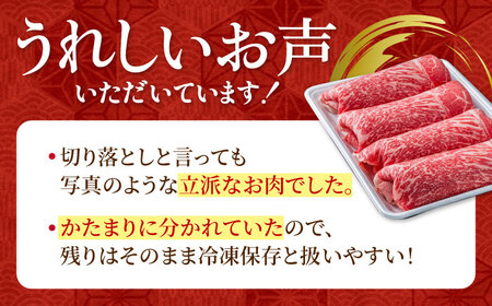 【圧倒的リピート率！】【3回定期便】佐賀県産 黒毛和牛 贅沢 切り落とし 3kg（1kg×3パック/回） 【株式会社いろは精肉店】[IAG185]