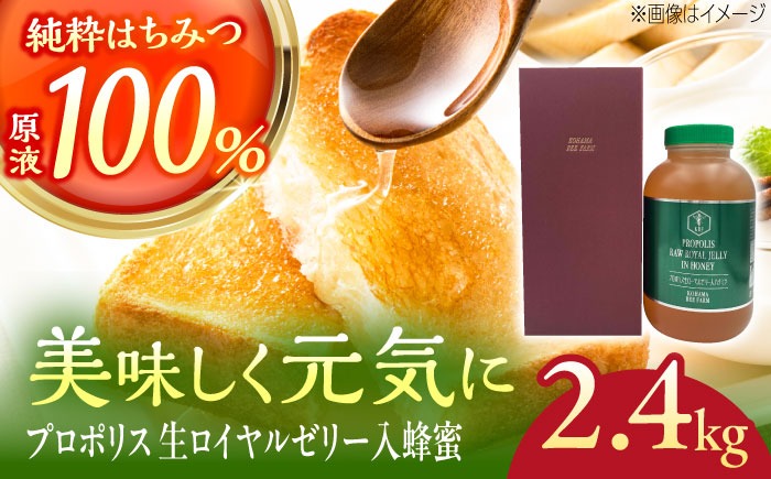 コハマのハチミツ プロポリス 生ローヤルゼリー入蜂蜜 2.4kg×1本 蜂蜜 はちみつ ハチミツ 国産 ギフト 年内発送 沖縄市 / 農業生産法人株式会社小浜養蜂場[BCAQ008] 