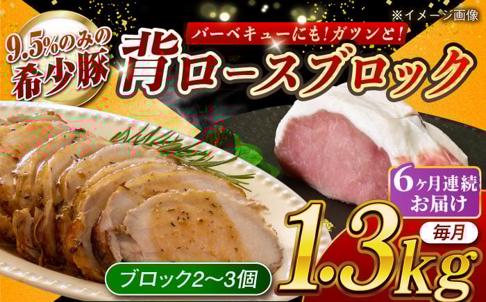 
            【月1回約1.3kg×6回定期便】大西海SPF豚 背ロースブロック 計約7.8kg 長崎県/長崎県農協直販 [42ZZAA090]
          