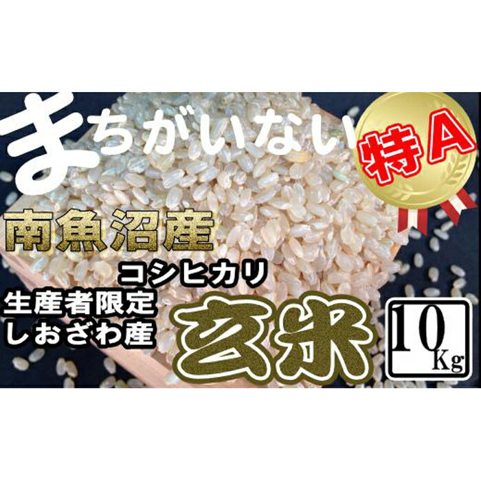 【ふるさと納税】【令和7年産】米 玄米 コシヒカリ 南魚沼しおざわ産 10kg【2025年10月上旬より順次発送予定】 | お米 こめ 食品 コシヒカリ 人気 おすすめ 送料無料 魚沼 南魚沼 南魚沼市 新潟県 玄米 産直