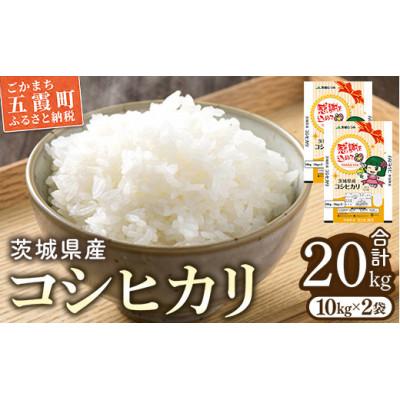 ふるさと納税 五霞町 茨城県産コシヒカリ20kg(10kg×2) 精米