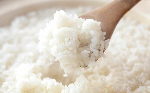 【真空パック】熊本県菊池産 ヒノヒカリ 白米 5kg 七城物語 高野さんちの自然栽培米 精米《30日以内に出荷予定(土日祝除く)》 ---045-3006---