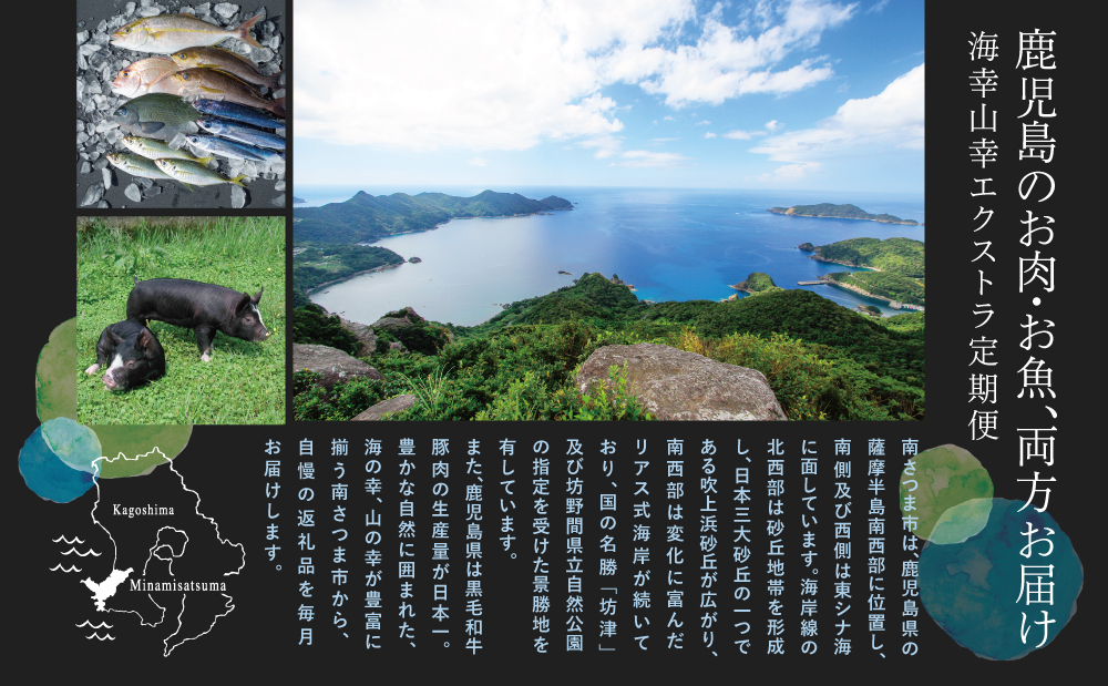 【定期便】海幸山幸 エクストラ厳選 定期便（全12回） 南さつま市 お肉 お魚 豚肉 牛肉 黒豚  鹿児島黒牛 すき焼き サーロイン ステーキ しゃぶしゃぶ 角煮 鰻 蒲焼 刺身用 たかえび 薩摩甘え