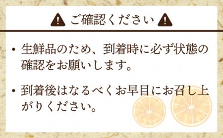 【2024年9月中旬より順次発送】JAむなかたブランドみかん【姫の神】（早味かん）約3kg[E2280a]
