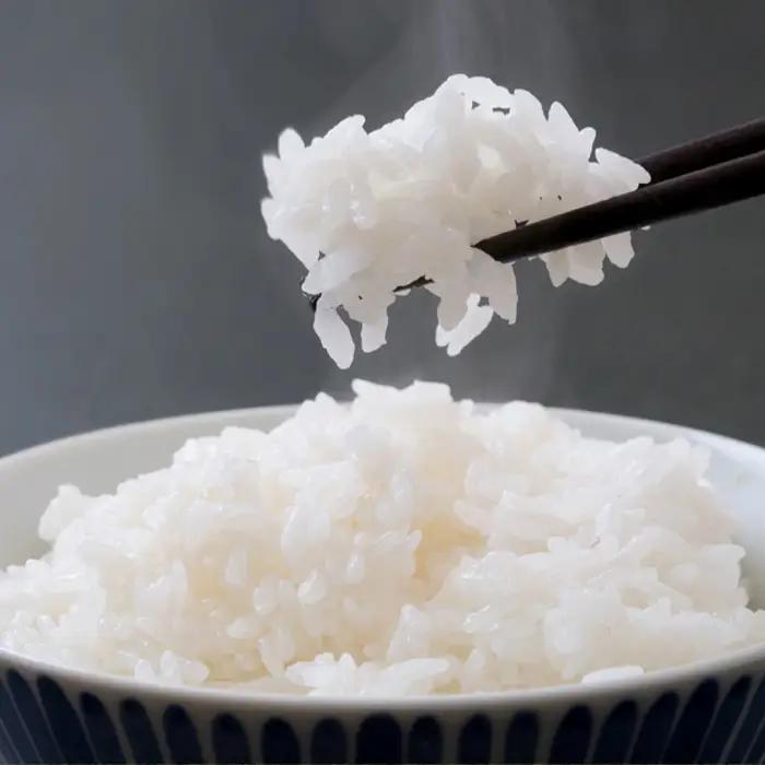 【定期便】【令和7年産】嶺南ファームの嶺岡米「コシヒカリ」5kg×3回 [0050-0101]