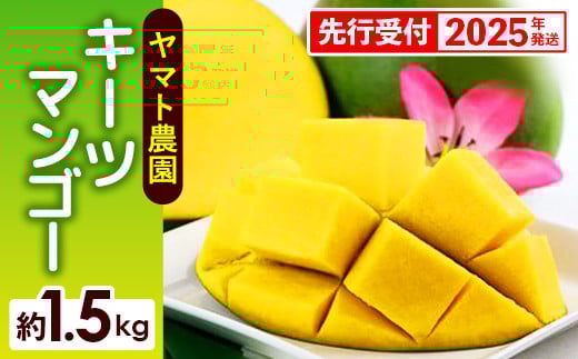 
            【先行受付】【2025年発送】ヤマト農園 キーツマンゴー約1.5kg - 産地直送 沖縄産 国産 果物 フルーツ 南国フルーツ 旬の味覚 追熟 先行予約 希少種 人気 おすすめ 送料無料 沖縄県 八重瀬町
          