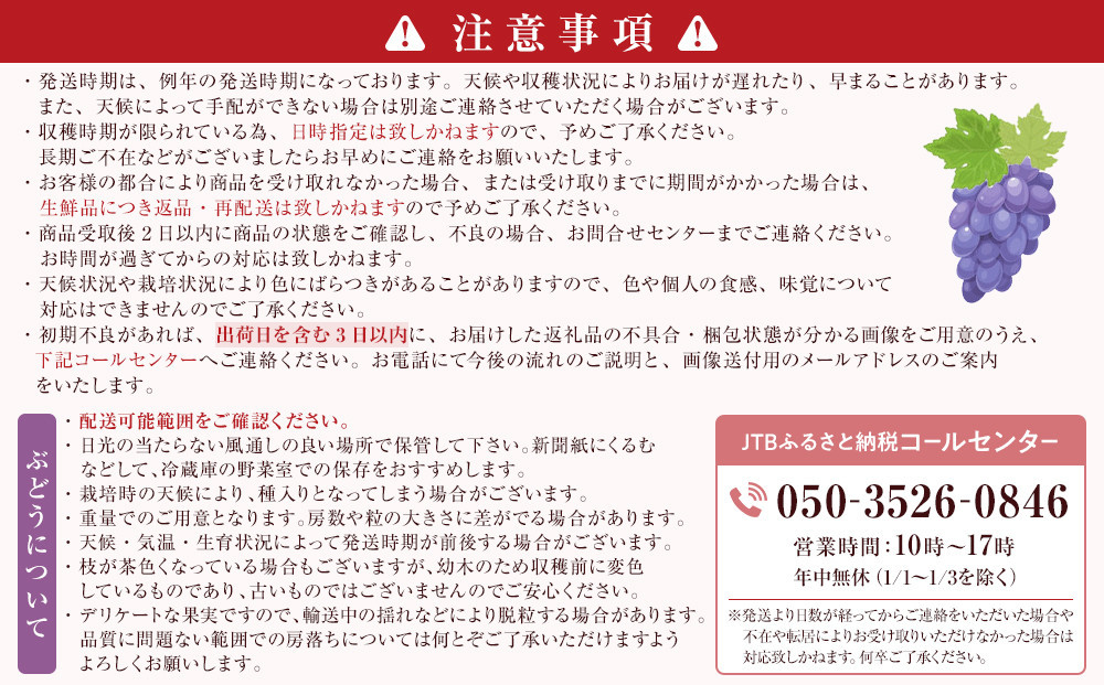 【大粒2房】長野市産シャインマスカット約1kg 以上【2026年9月中旬以降出荷分】(さらしな青果) |  ぶどう シャインマスカット 大粒 ダントツ人気 人気 おすすめ 葡萄 ブドウ フルーツ 果物