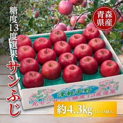 
                  りんご/青森県産　糖度13度選果 サンふじ 約4.3kg【1655307】
                
