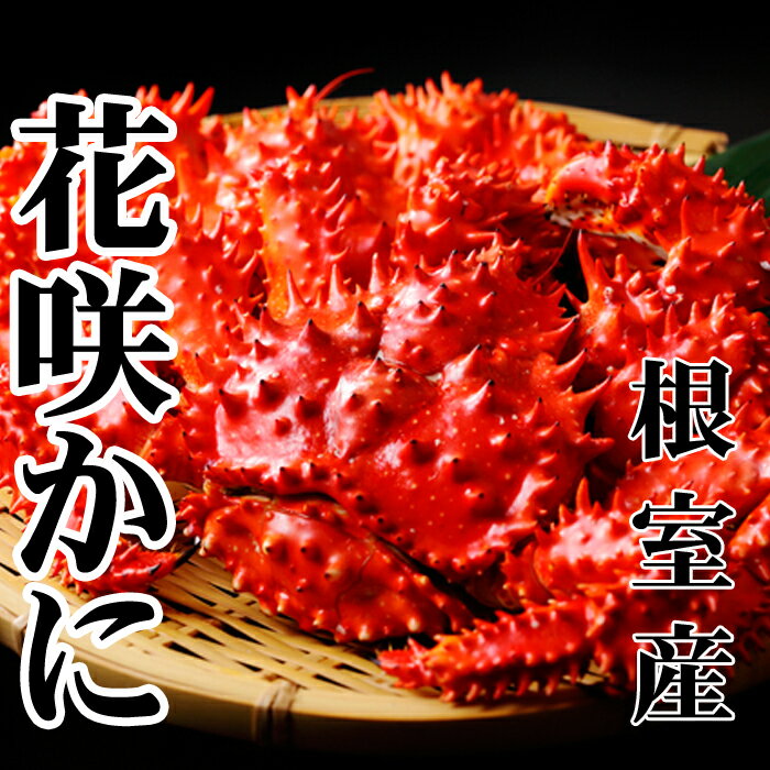 【ふるさと納税】＼年内配送間に合います！／ [北海道根室産] 花咲かに 500 ~ 650g × 6 尾 花咲がに 花咲 花咲かに 花咲蟹 かに カニ 蟹 お取り寄せ グルメ 海鮮 ボイル 茹で蟹 茹でがに 茹でガニ 北海道 根室市 ふるさと納税 D-36045