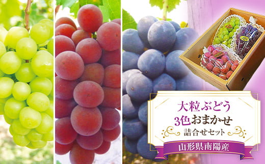 
                  【令和8年産先行予約】 大粒ぶどう3色おまかせ詰合せセット (3～4房) 《令和8年9月中旬～発送》 『安久津農園』 ぶどう マスカット シャインマスカット ピオーネ クイーンニーナ 詰合せ セット 食べ比べ 果物 フルーツ デザート 山形県 南陽市 [818]
                