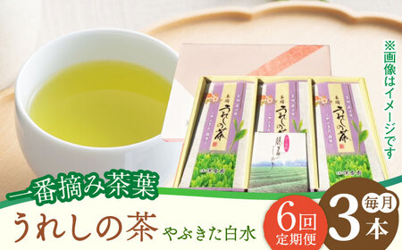 【6回定期便】一番摘み茶葉 うれしの茶 3本入（やぶきた 白水 100g×3本） /お茶の深香園 [UAF012] お茶 緑茶 お茶 煎茶 茶