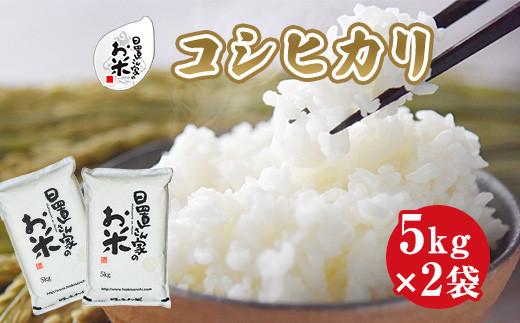 147.日置さん家のお米「コシヒカリ」5kg×2袋【精米・2026年産】 313726_AE005VC01