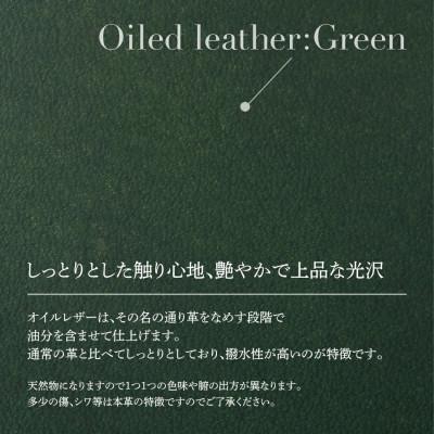 ふるさと納税 大木町 国産オイルヌメ革の靴べらキーホルダー/グリーン　BK029 |  | 01