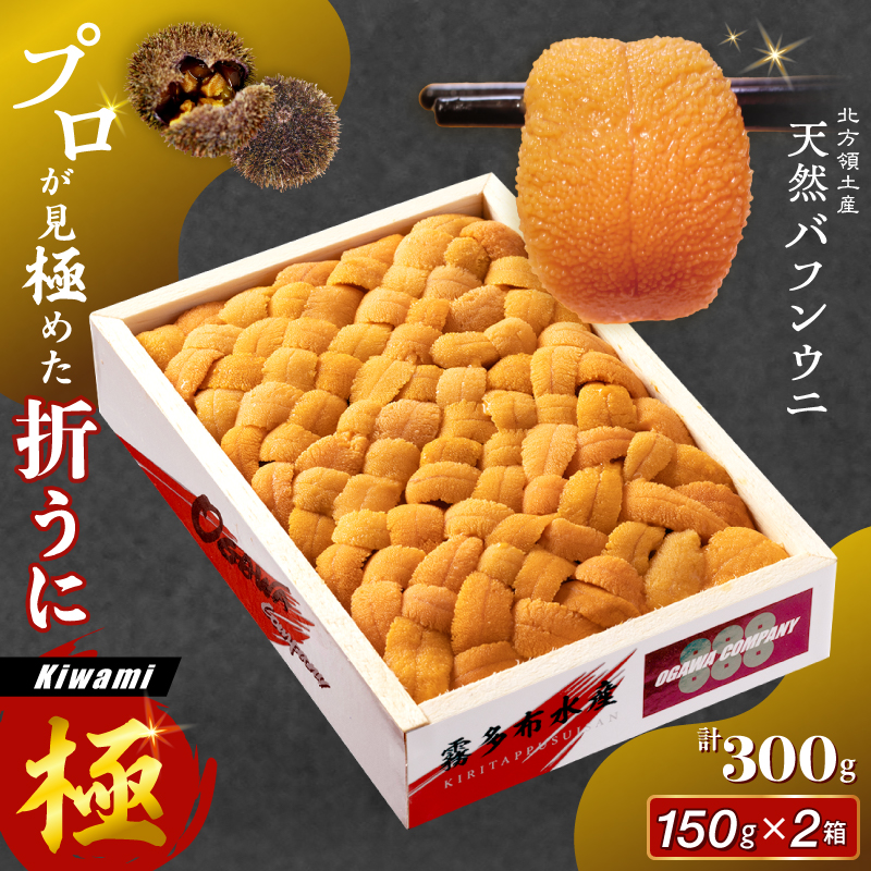 ≪プロ厳選≫最高級折うに(極)計300g うに ウニ 雲丹 折うに 海鮮 海産物 北海道 浜中町 ふるさと納税 人気 年内配送_H0014-129
