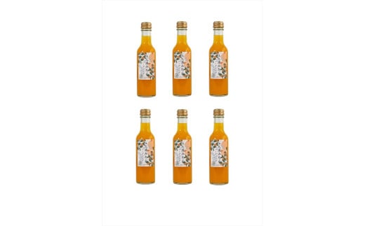 小田原産江之浦みかんスパークリング果汁入り飲料果汁５０％２００ml６本