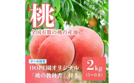 【2026年発送★先行予約】　安心のクール便発送 桃 2kg 5～8玉 ふるさと納税 もも 桃 笛吹市 国産 人気 期間限定 果物 フルーツ 旬 ギフト 贈り物 記念日 山梨県  226-002