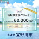 【ふるさと納税】沖縄県 宜野湾市 日本旅行 地域限定旅行クーポン (紙券)【60,000円分】 | ふるさと納税 旅行 沖縄 ホテル 旅行券 トラベル ふるさと チケット 宿泊 宿泊券 宿 観光 飛行機 送料無料 リゾート ファミリー ペア ダイビング 宜野湾 普天間 トロピカルビーチ