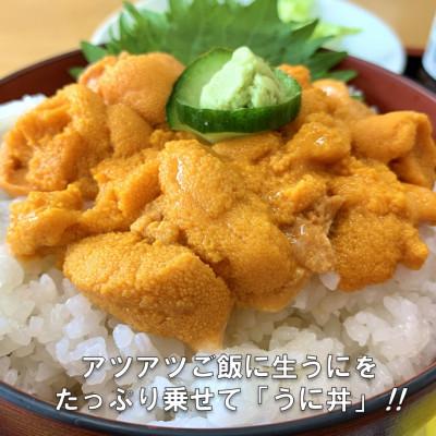 ふるさと納税 田野畑村 【予約・7月中旬〜発送】三陸生うに　180g×1本　国立公園・田野畑村から(瓶入りミョウバン不使用) |  | 01