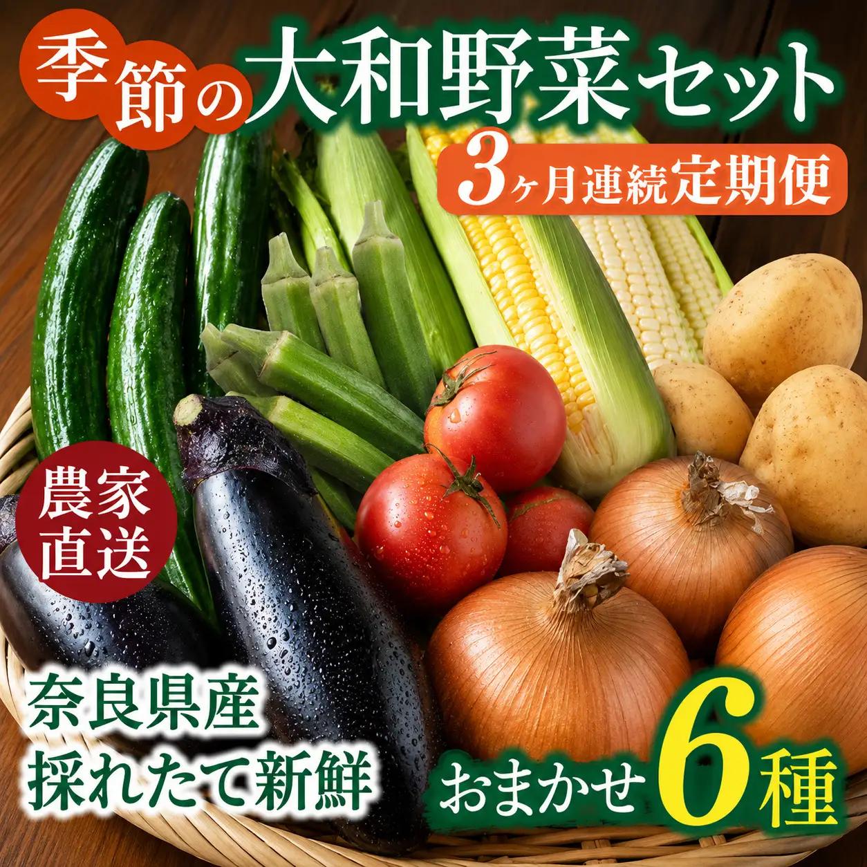 野菜 奈良県産 ※3ヶ月定期便※季節の大和野菜 おまかせ６種セット×3ヶ月 葛城市【smlk-tkb013】