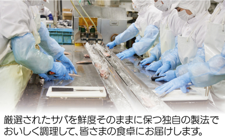 訳あり 昆布塩さば 1kg