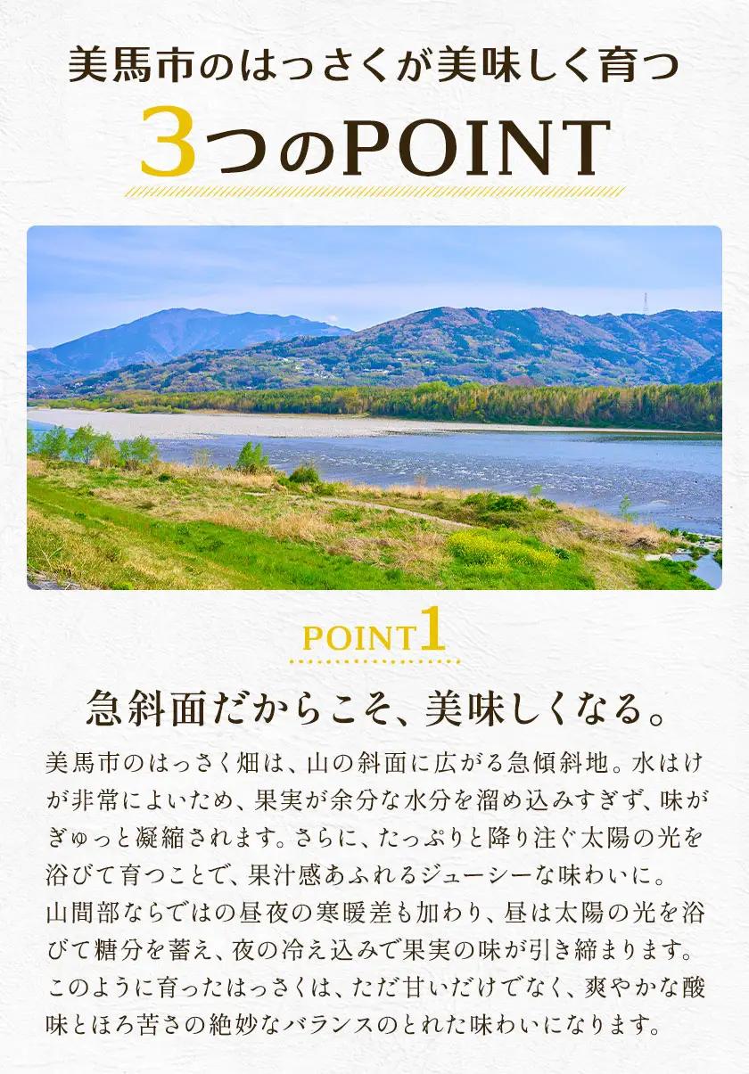 はっさく 9kg 訳あり 八朔