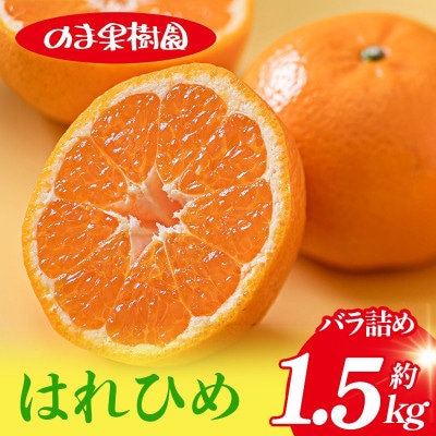 のま果樹園のはれひめ(約1.5kg)バラ詰め【1759266】
