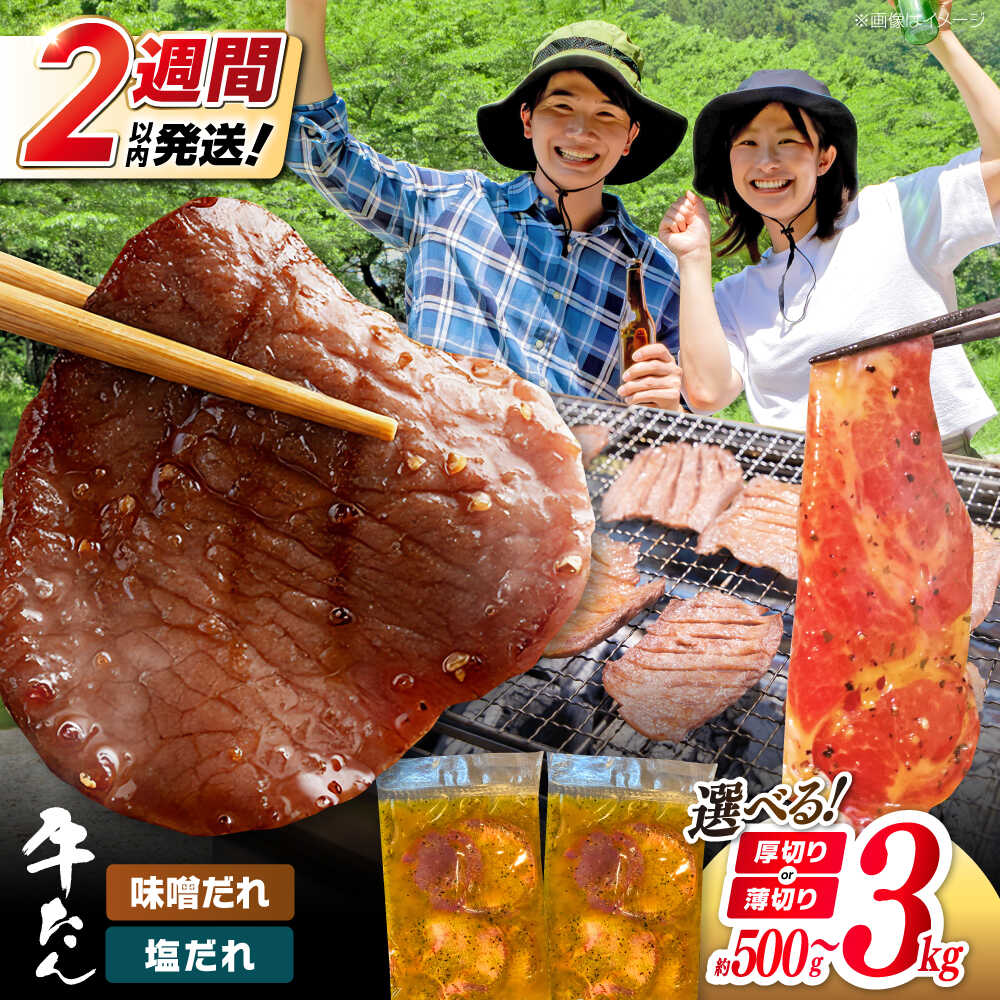 【ふるさと納税】【新登場★】 牛 タン 1パック 約250g / ＼選べる味・厚さ・容量／ 小分け 個包装 味付け タレ たれ 高知県 お肉 牛肉 贅沢 焼き肉 BBQ バーベキュー 訳あり わけあり 牛 肉 高知 高知市 牛タン たん 大容量 おすすめ 人気 生活応援 [ATDO017]【焼肉寛十郎】