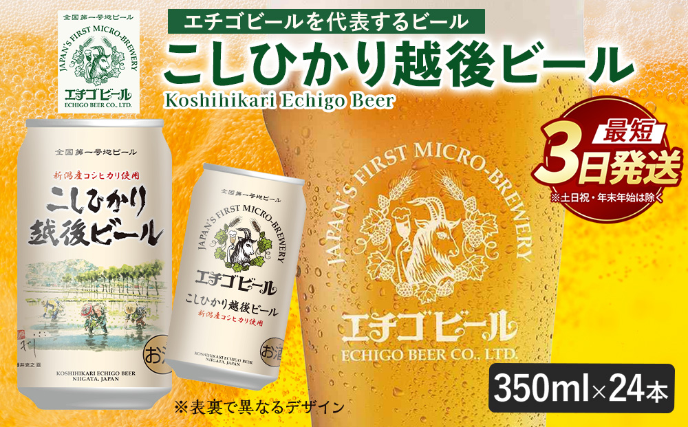 【最短3日発送】エチゴビール こしひかり越後ビール 350ml 缶 24本 〔P-447〕 | ビール クラフトビール 地ビール コシヒカリ アルコール 飲料 酒 お中元 お歳暮 ギフト 贈答 ラガー